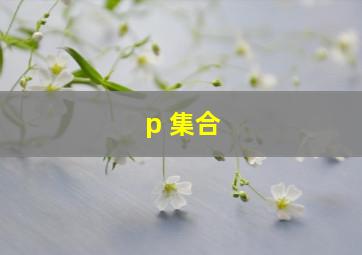 p 集合